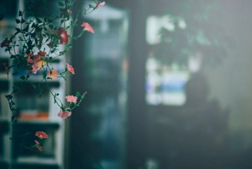 怎样理性结束婚外情，优柔寡断是最不理性的方式